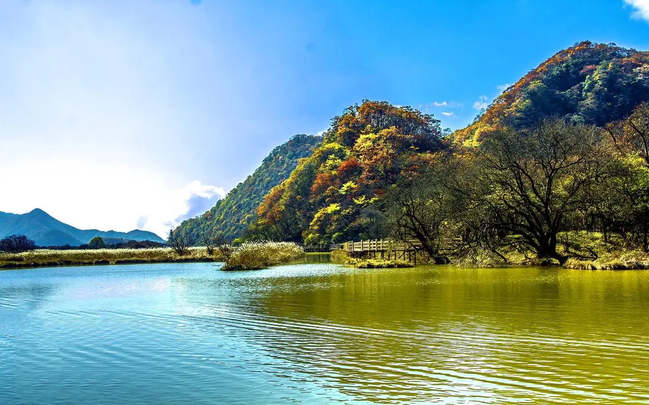 创新可靠性创新